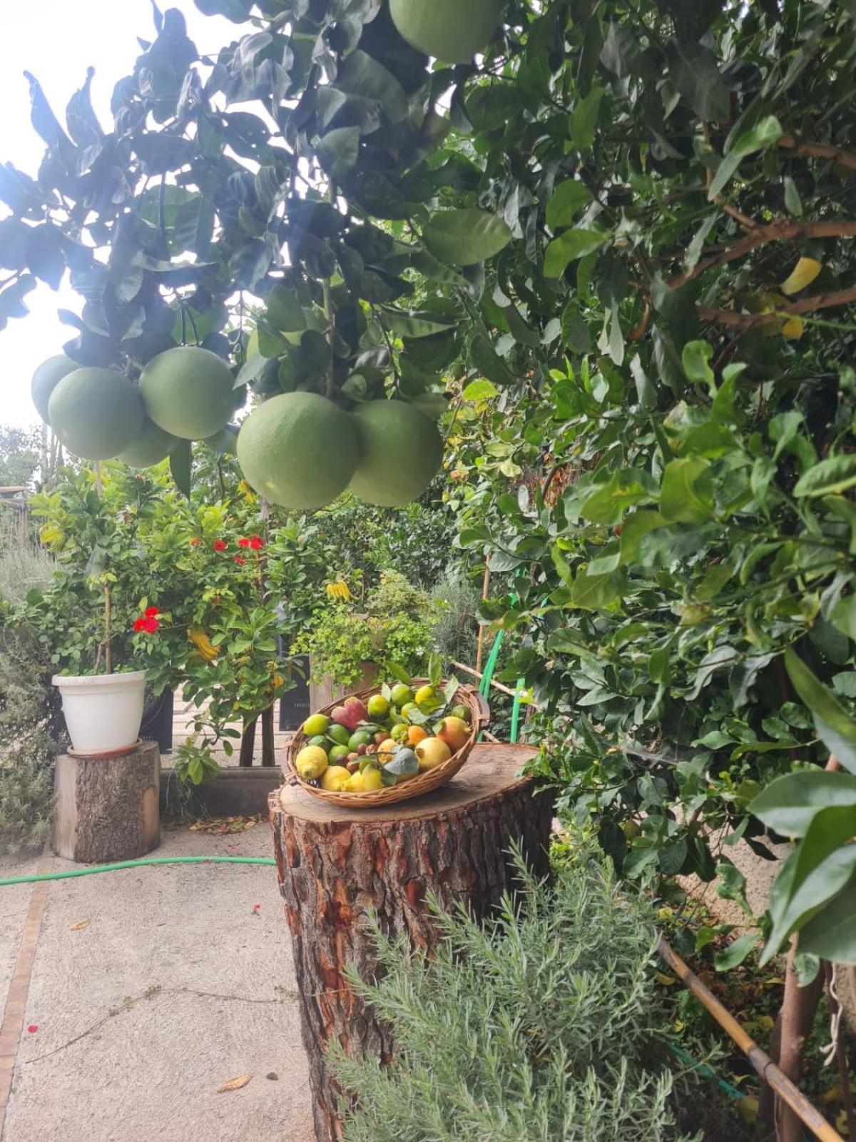 B&B Casa Vacanza Cioffi Vico Equense Buitenkant foto